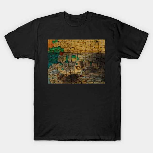 Duck T-Shirt by teenamarie23art